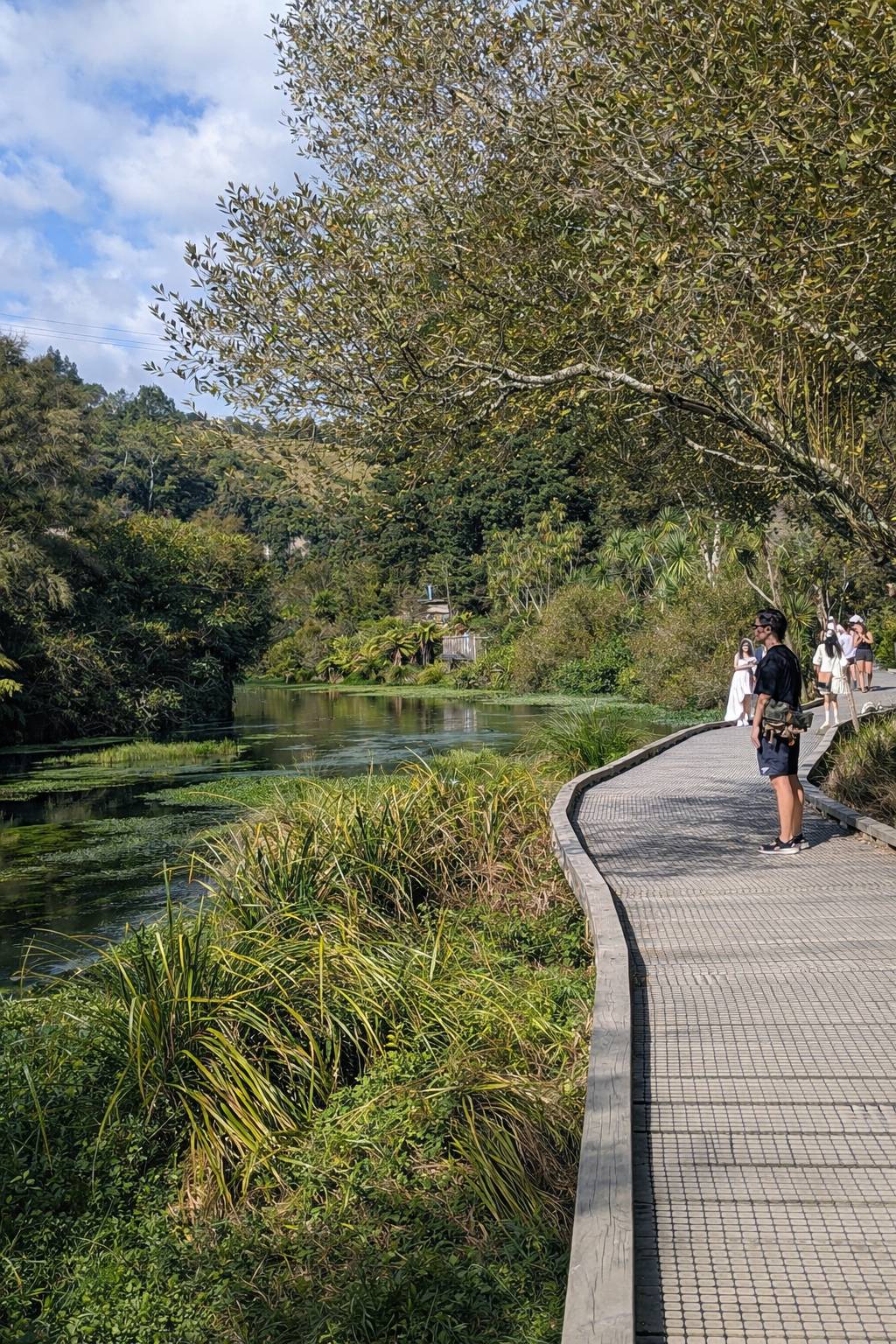 Pathway along a lake with greenery and people in a park-like setting
