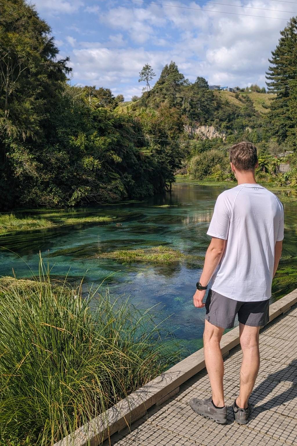 Man standing by a scenic lake surrounded by trees on a sunny day