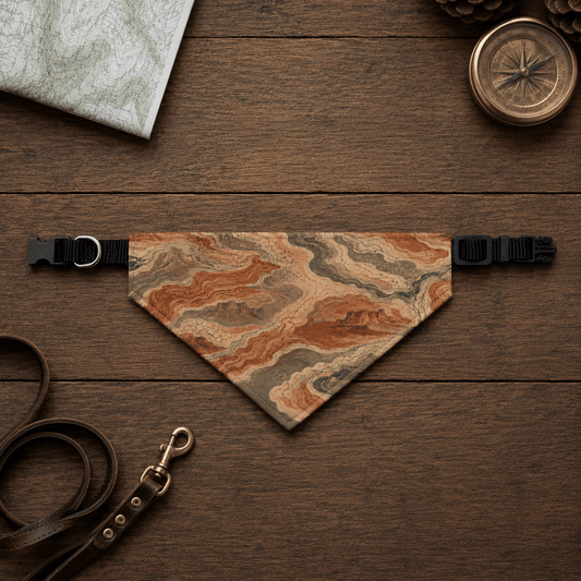 Dog bandana with map design on a wooden surface with leash and compass.