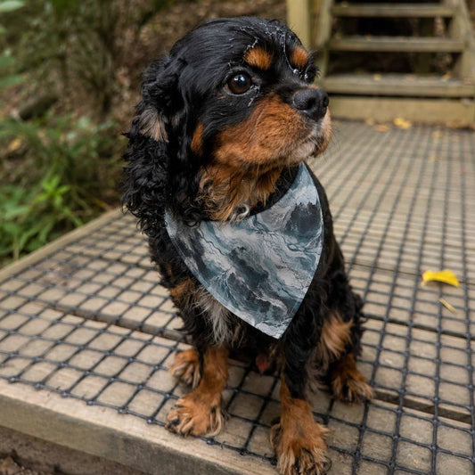 Small dog with a bandana sitting on a metal surface outdoors