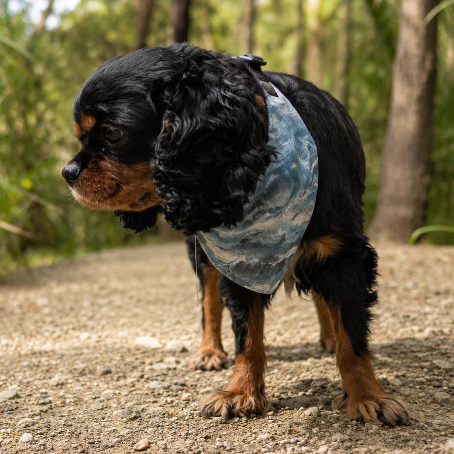 Dog wearing a blue bandana in a forest setting