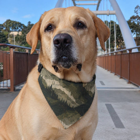 A golden retriever dog wearing a green and brown camouflage bandana collar, sitting on a modern outdoor walkway with a white arched bridge in the background.