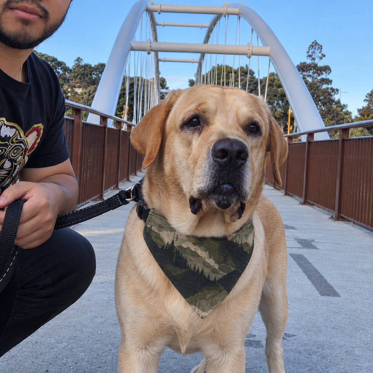 A yellow Labrador retriever on a bridge wearing a green camouflage bandana, with a man holding the leash in the foreground.