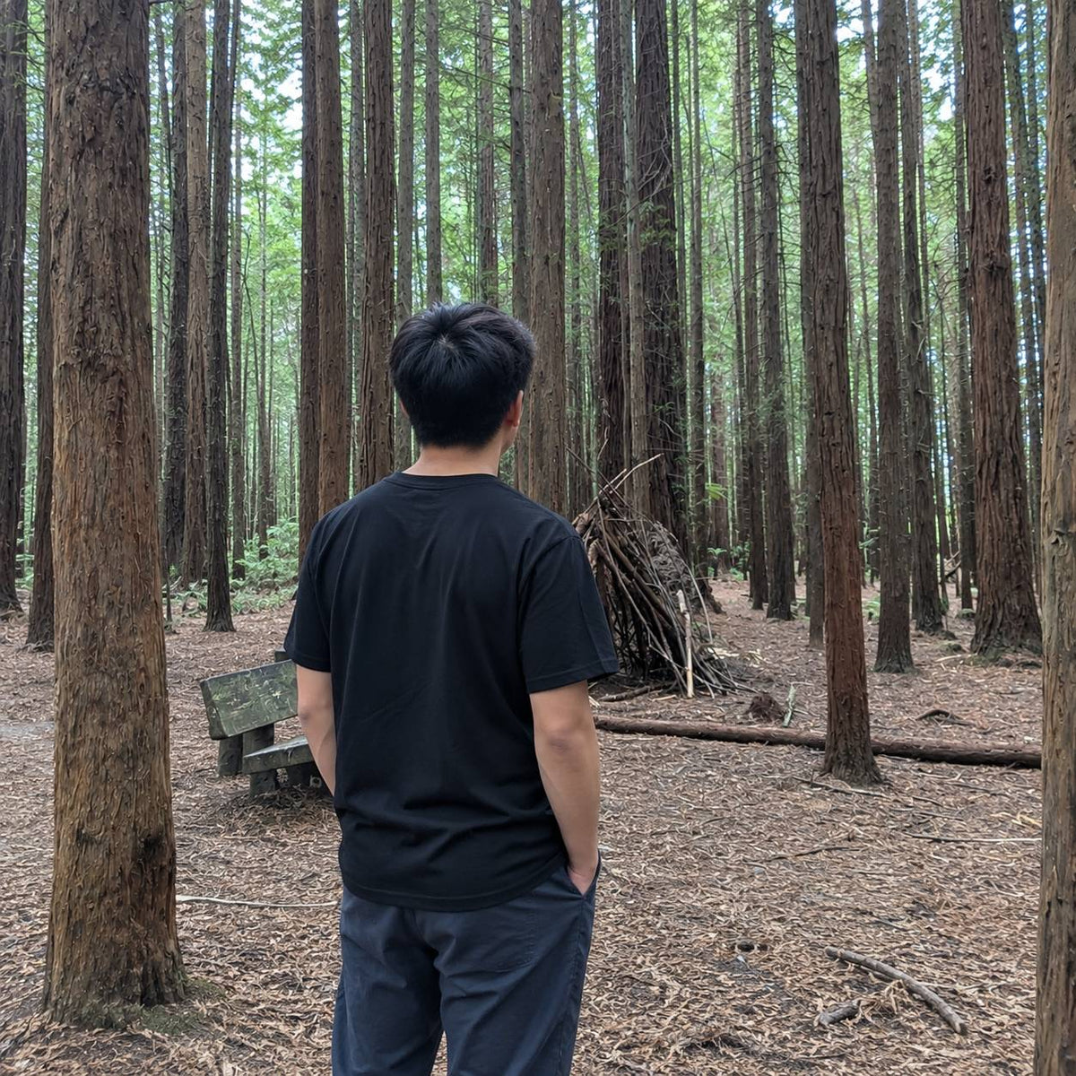 A man viewed from behind wearing a black t-shirt and dark gray pants, standing in a dense forest of tall trees.