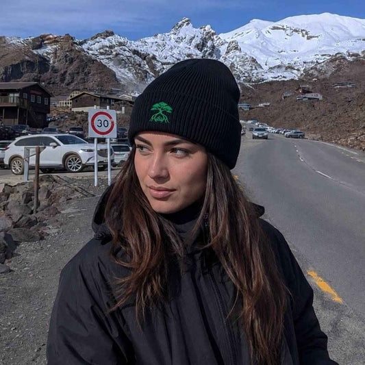 Mangrove Peak Beanie - Embroidered Mountain Beanie in Organic Cotton