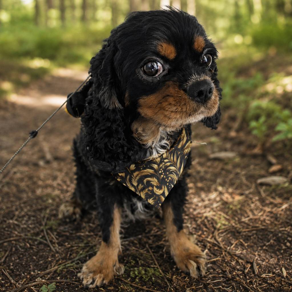 Dog on a leash in a forest setting