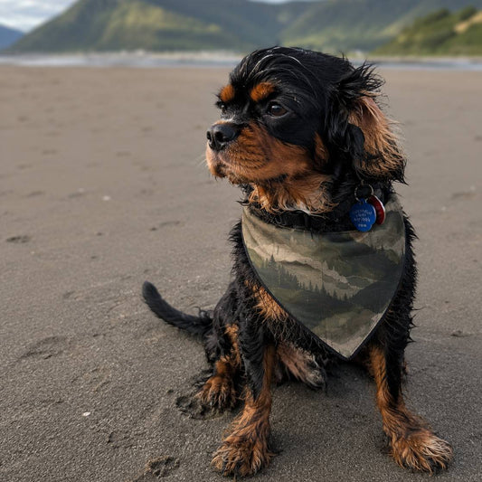 Dog on a sandy beach with mountains in the background