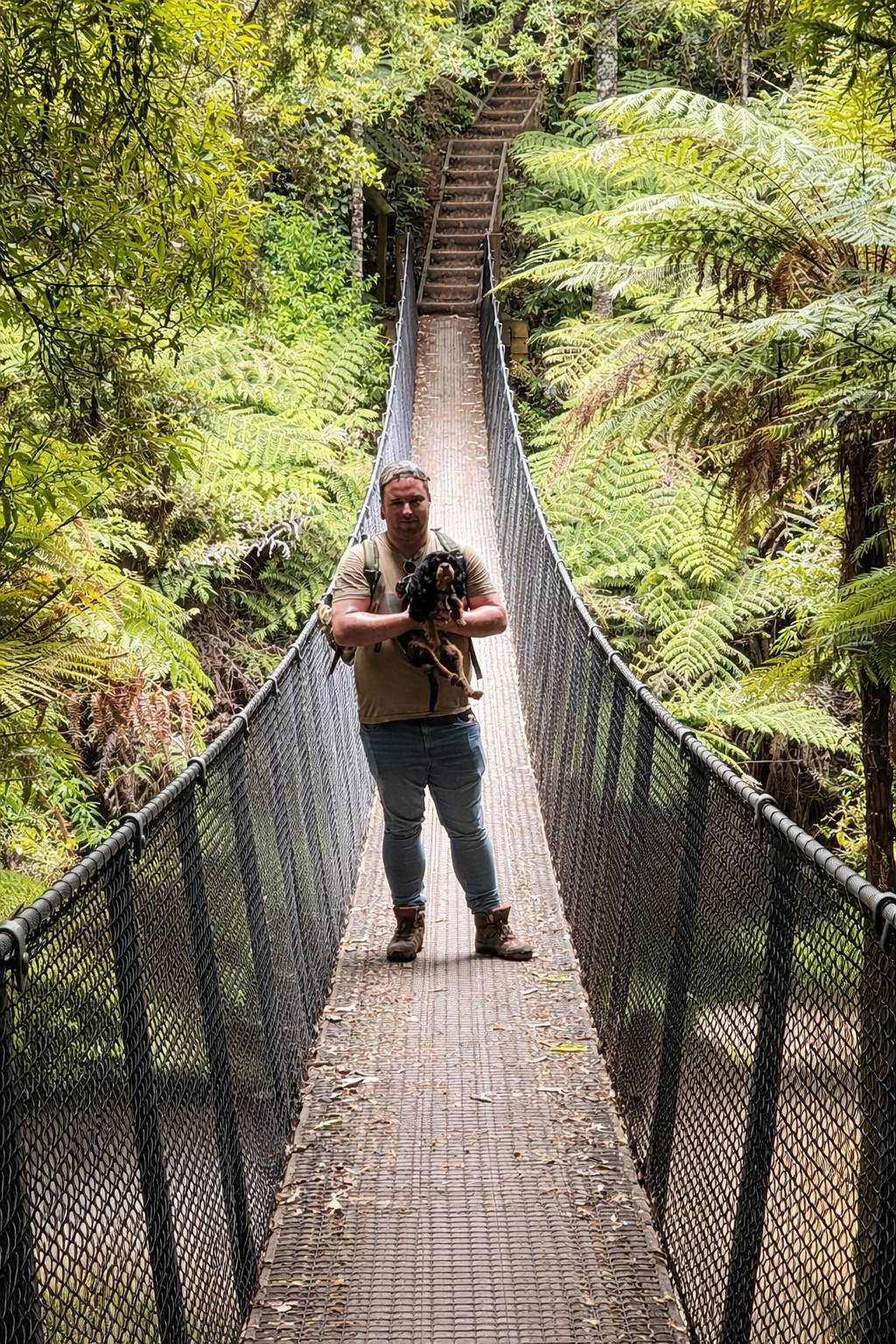 Person standing on a suspension bridge in a lush green forest