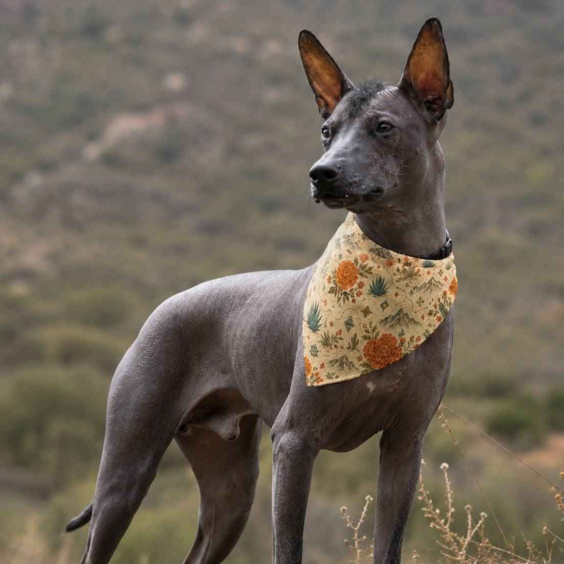 Mexicana Bloom Dog Bandana - Mexican-Inspired Floral Pet Bandana