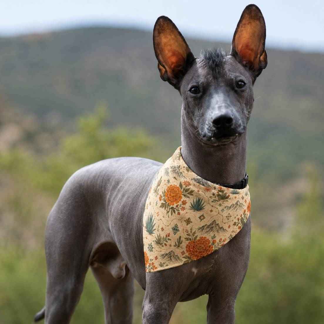 Mexicana Bloom Dog Bandana - Mexican-Inspired Floral Pet Bandana