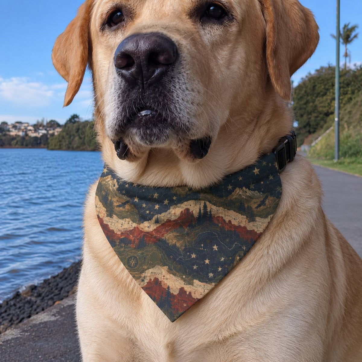 A yellow Labrador retriever outdoors by the water wearing a patterned bandana with a mountain and star design and a black collar.