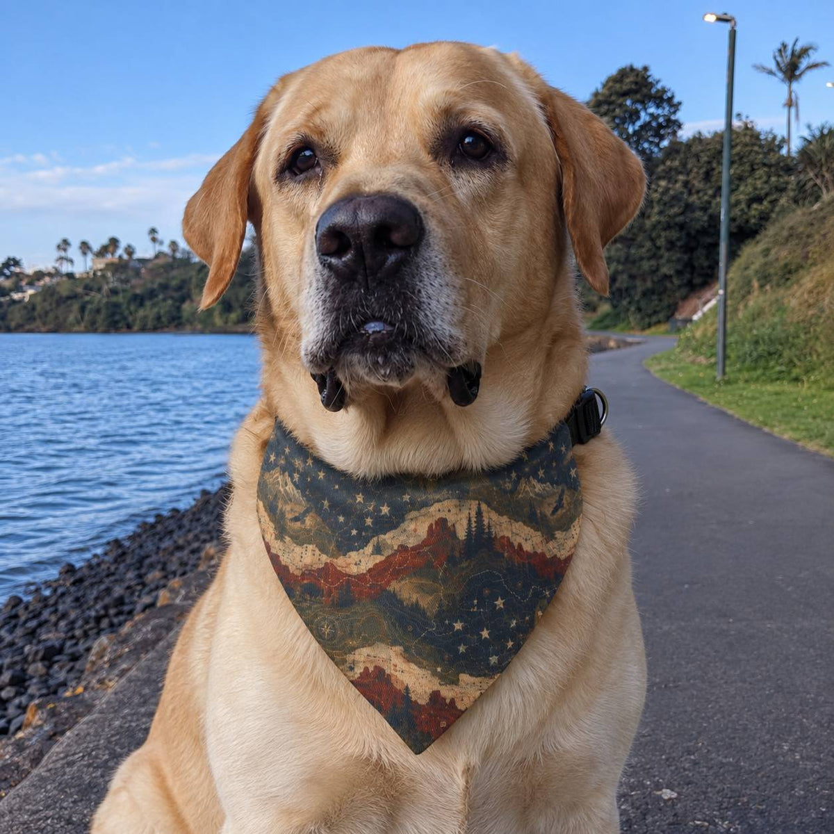 A golden retriever dog sitting on a paved path next to a body of water, wearing a patterned bandana with a mountain and stars design.