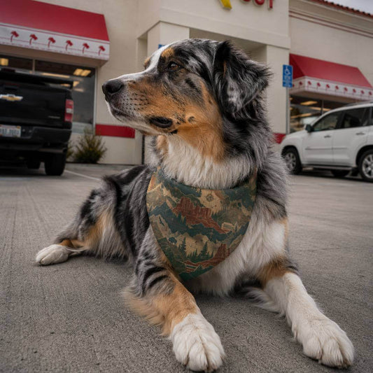 Dog wearing a bandana sitting on a street with a fast food restaurant in the background