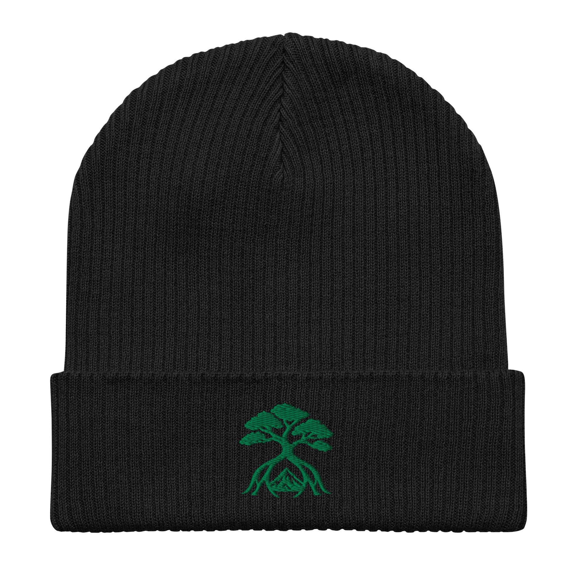 A black ribbed knit beanie hat with a folded cuff, featuring a green embroidered bonsai tree with roots on the front center.