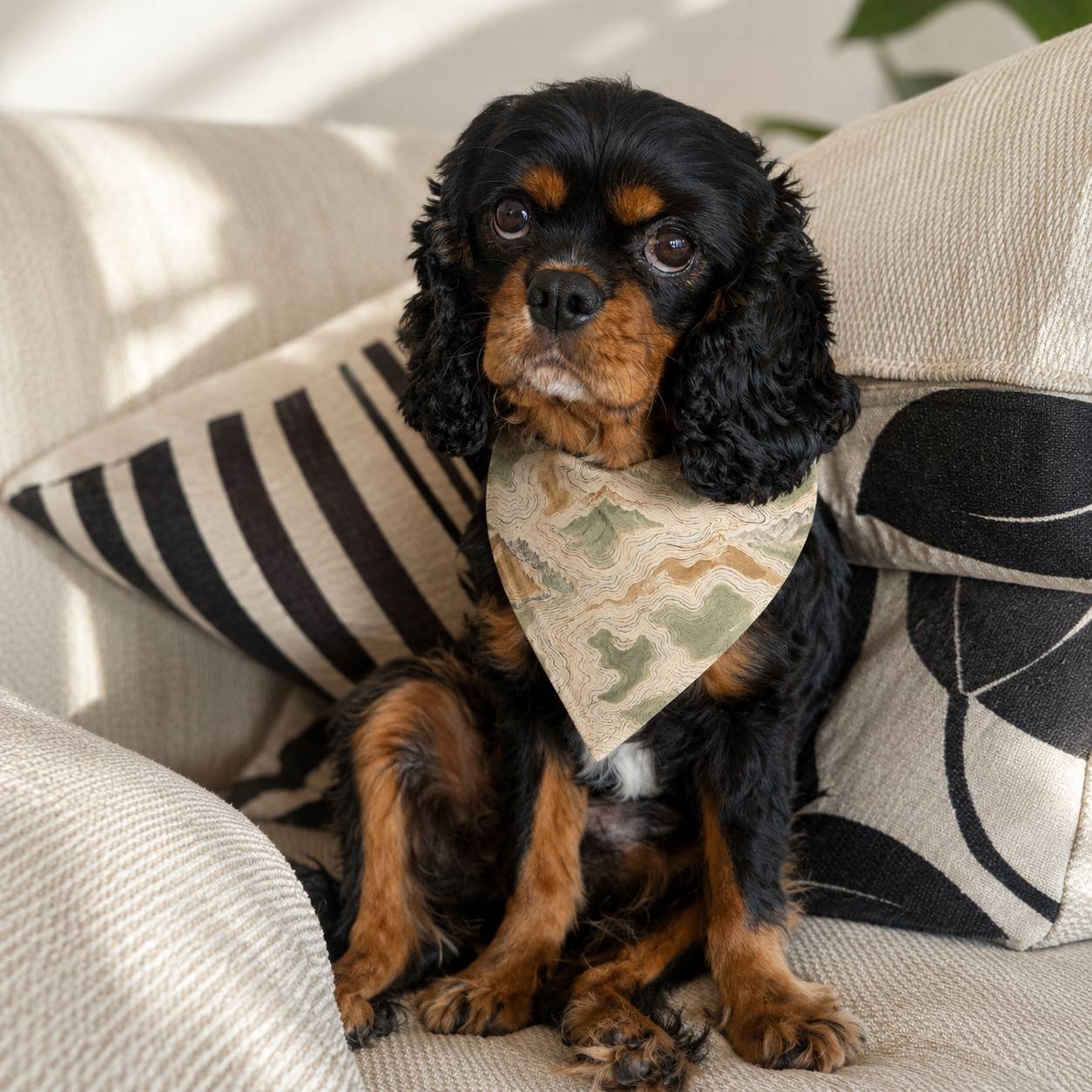 Dog wearing a bandana sitting on a couch with decorative pillows