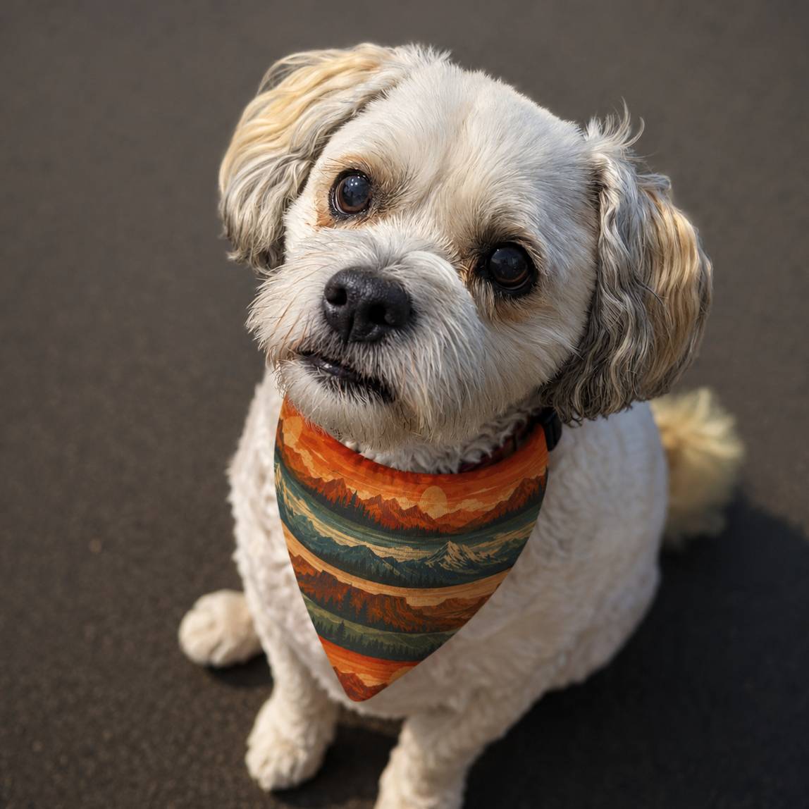 Small dog wearing a colorful striped bandana on a brown background