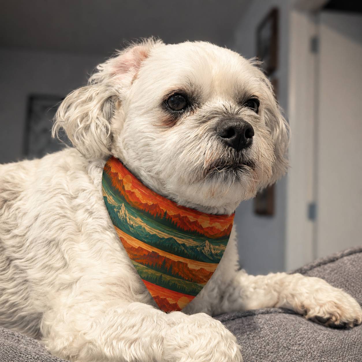 White dog wearing a colorful bandana sitting on a couch.