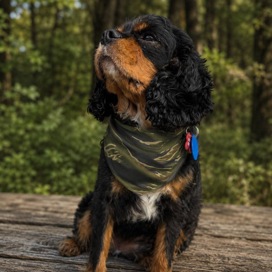 Dog wearing a camo bandana sitting on a wooden surface with a forest background