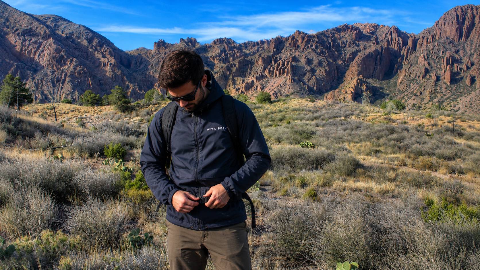 Person standing in a desert landscape with mountains in the background